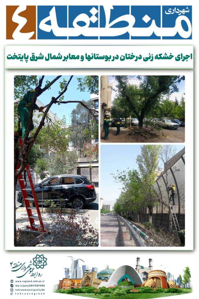 اجرای خشکه زنی درختان در بوستانها و معابر شمال شرق پایتخت