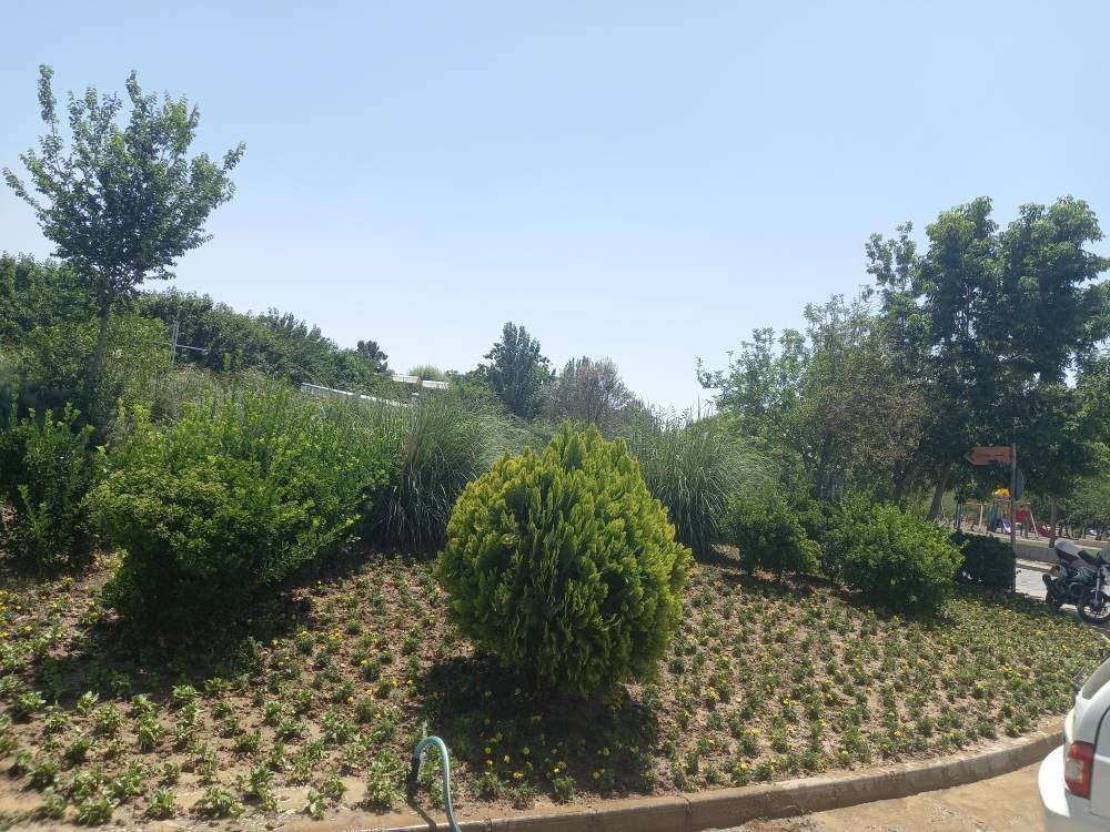 پاکسازی بوستان های جنگلی از زباله های زیست محیطی در منطقه19