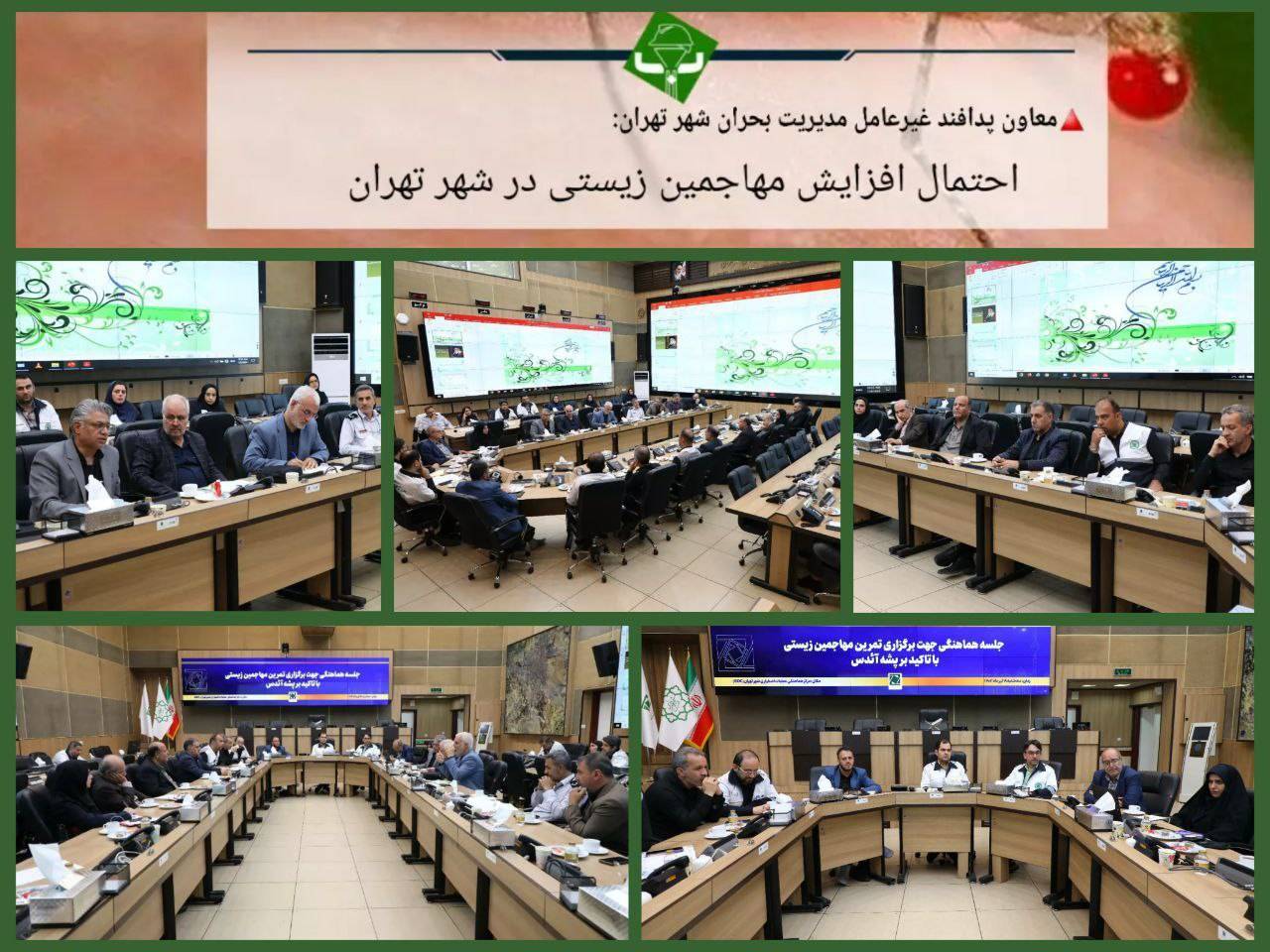 ورود مدیریت بحران تهران به موضوع «پشه آئدس»