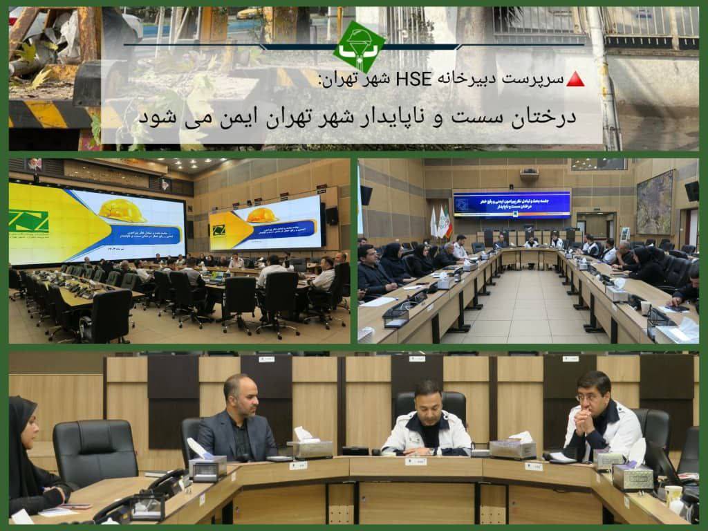 مدیریت بحران شهر تهران پیگیر موضوع رفع خطر از درختان پایتخت