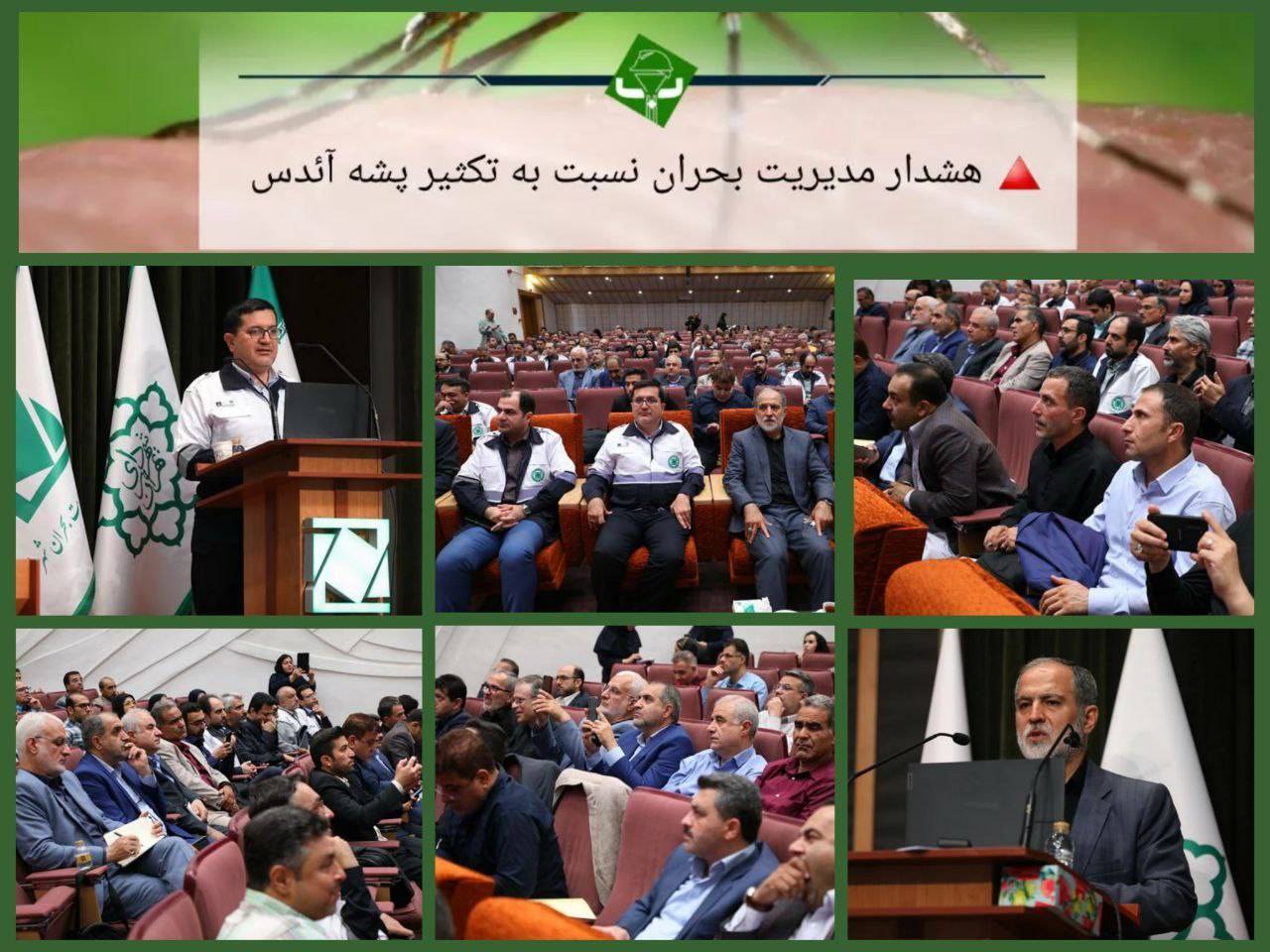 هشدار مدیریت بحران نسبت به پرورش گیاه “لاکی بامبو”