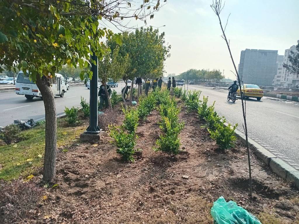 ‍ فضای سبز حاشیه بزرگراه‌های منطقه 19 با کاشت4000 درخت، هوای شهر را بهبود می‌بخشد
