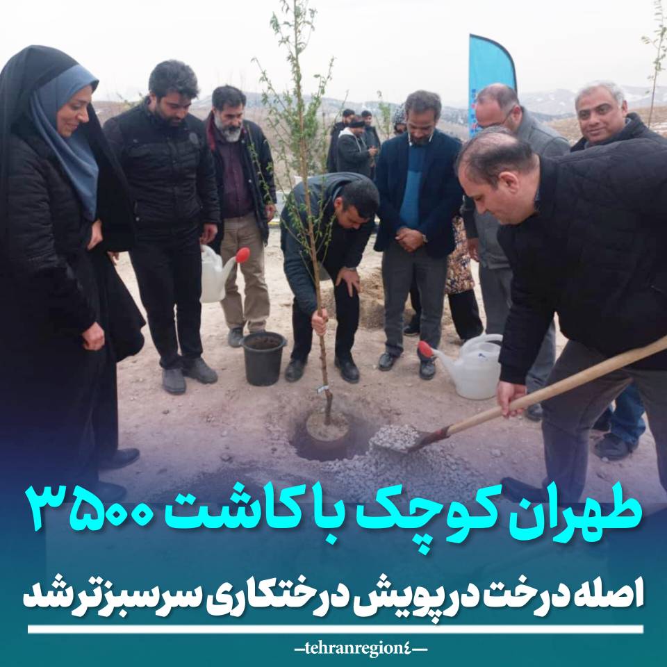 طهران کوچک با کاشت 3500 اصله درخت در پویش درختکاری سرسبزتر شد