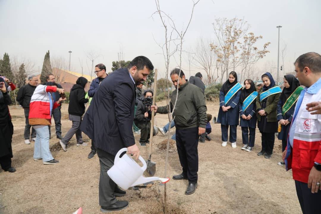 کاشت2 هزار اصله نهال در بوستان بزرگ ولایت گامی به سوی تهران سبزتر