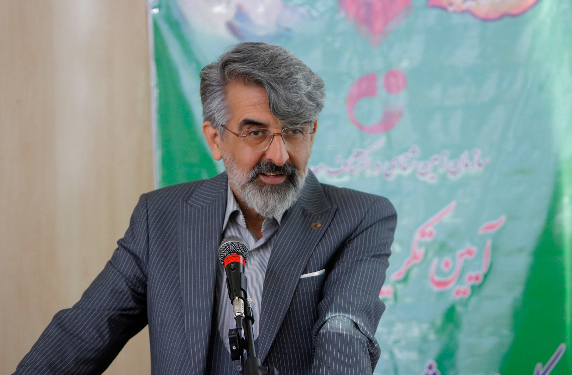 مشاورعالی رئیس سازمان زمین‌شناسی و اکتشافات‌معدنی کشور: ایران پنجمین کشور دارنده ذخایر معدنی در جهان است