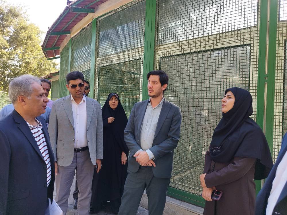 ضرورت معرفی اراضی بالای 2 هزار متر برای احداث نیروگاه خورشیدی در تهران