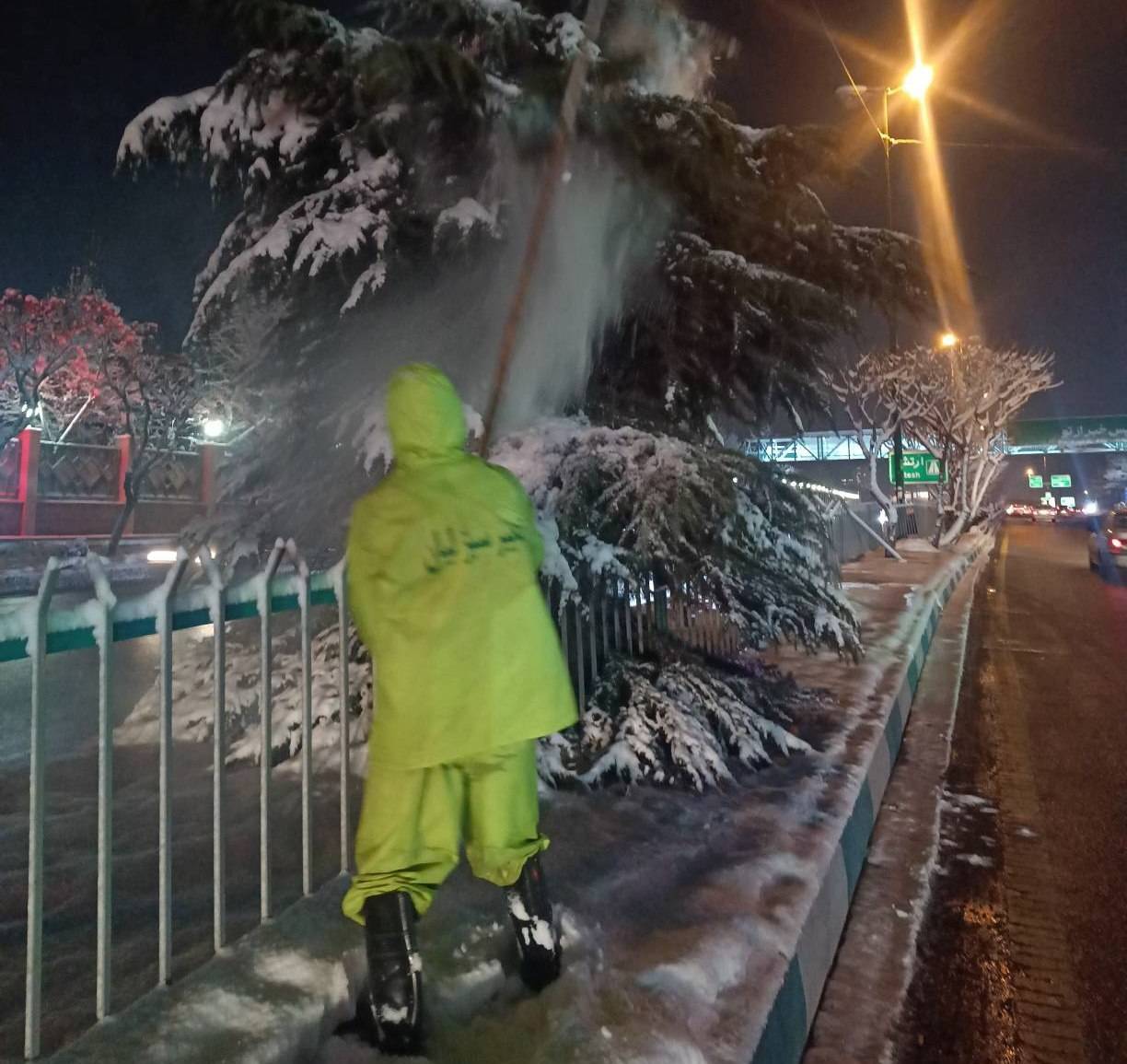 اجرای گسترده عملیات برفتکانی درختان و پاکسازی معابر بوستانها در منطقه یک