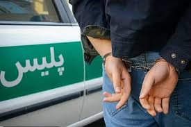 کشف سرقت ۳ میلیاردی سیسمونی کودک در بهارستان/ دستگیری همدست سارق و عودت اموال به مال‌باخته