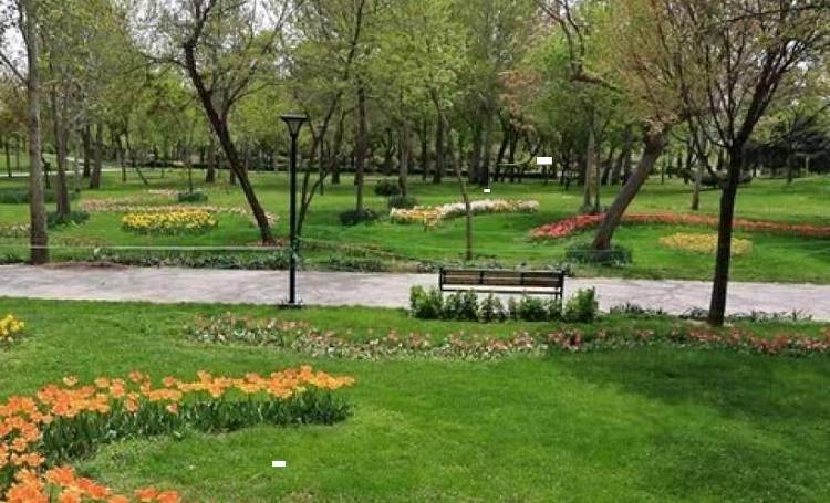 ملک دو باغ طرشت برای تبدیل به بوستان عمومی /دو باغ طرشت به بوستان عمومی تبدیل می‌شود